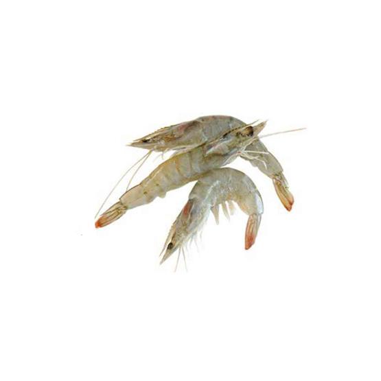 

Udang Vaname Segar - 250 Gram (Bibik Sayur)