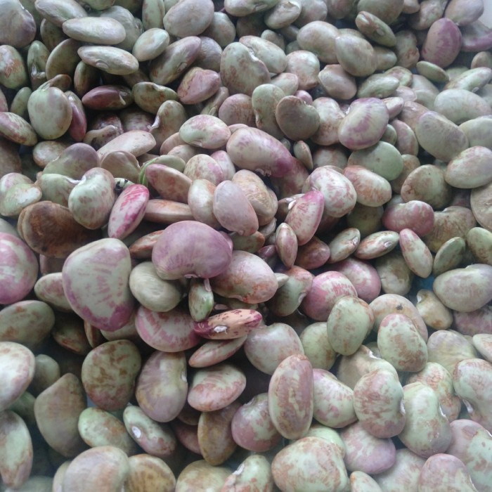 

Kacang karo sudah di kupas 1kg