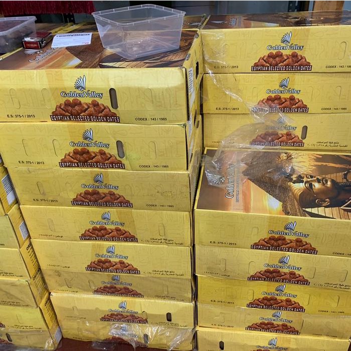 

Kurma Mesir Golden Valley 10kg