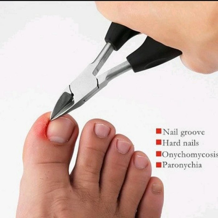 Tang Besar Tang Kuku Nail Art Tang Kuku Besar Cuticle Nipper Big Size