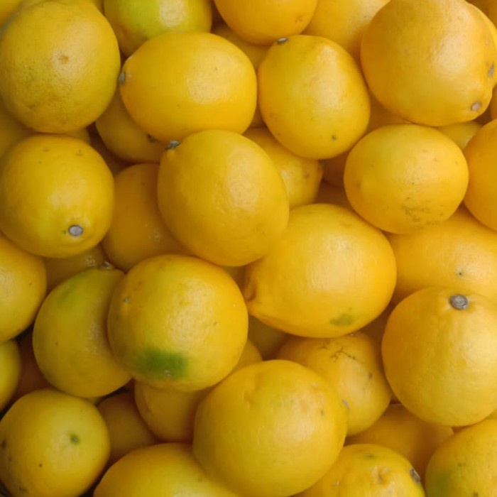 

HJK jeruk lemon lokal california 500gr