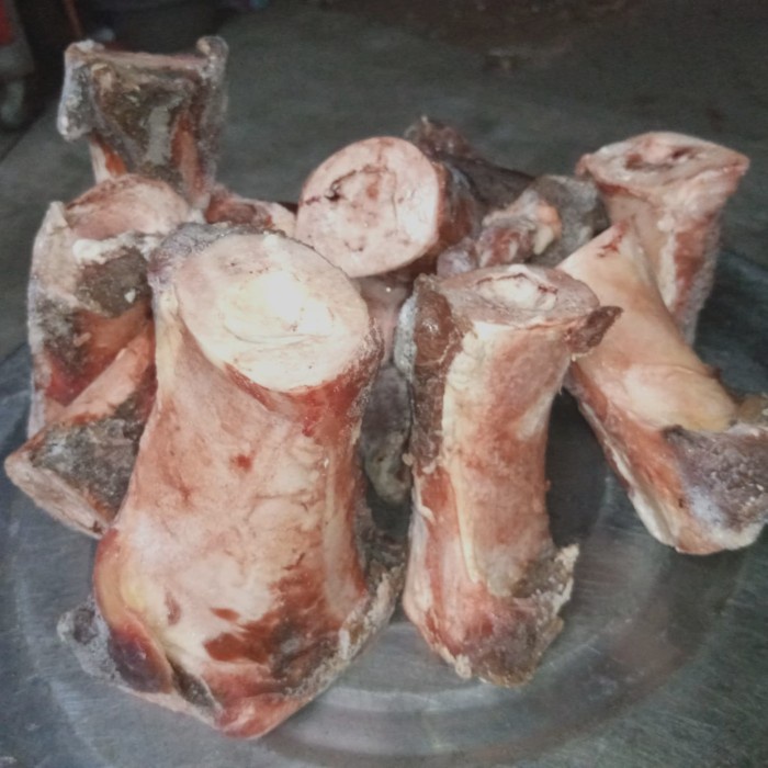 

HJK Tulang sumsum sapi tanpa bonggol