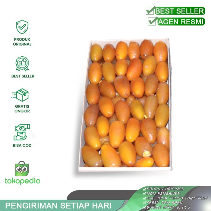 

HJK kurma muda kurma ruthob libya dates 500g king sultan