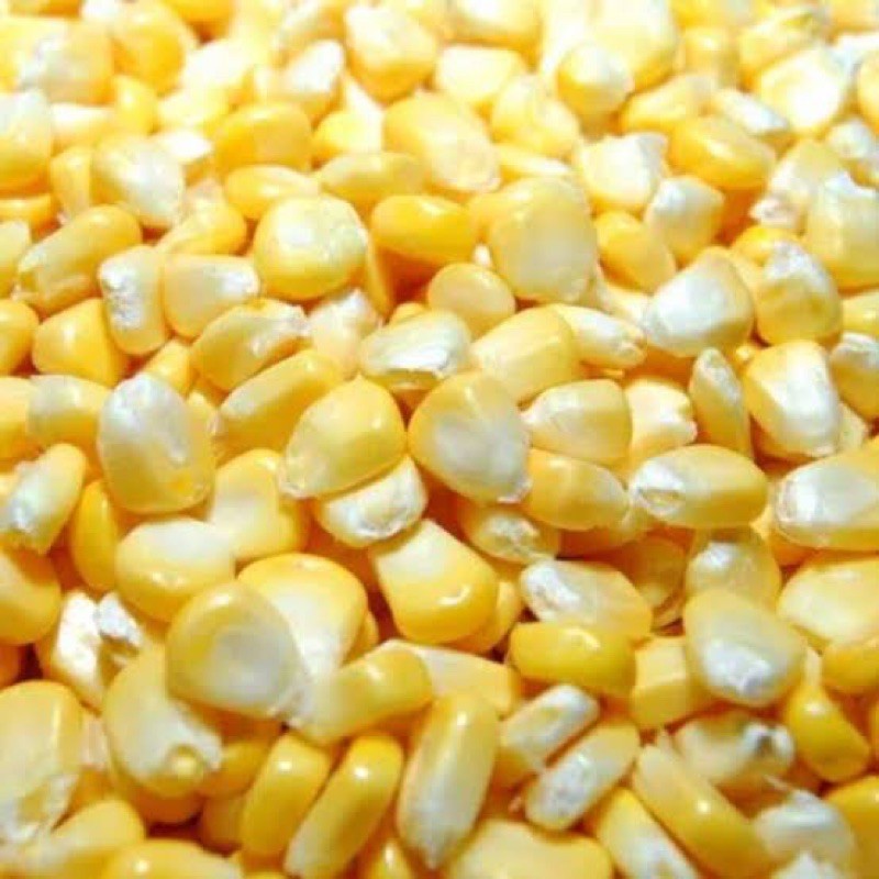Ready Jagung Manis Pipil Madu Baru Pipil BUKAN BEKU (Fresh) GRADE A pipil segar Jasuke 1 Kg
