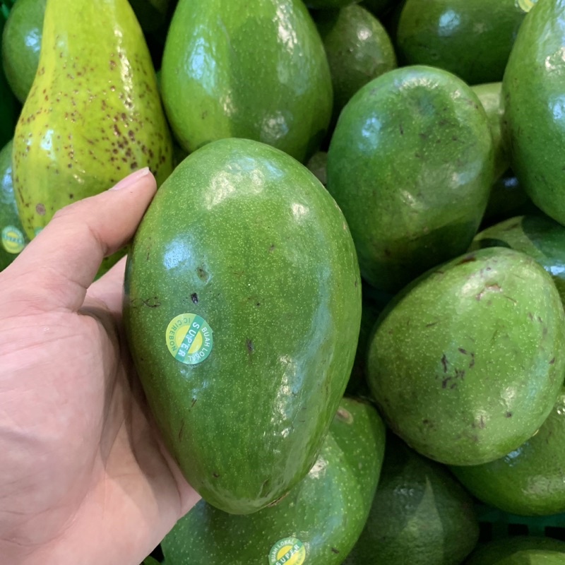 

BUAH ALPUKAT ALPUKAT FRESH 1 KG