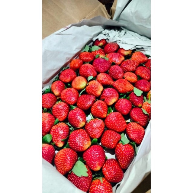

STRAWBERRY SUPER PREMIUM STRAWBERRY PILIHAN (KHUSUS SAMEDAY DAN INSTAN)