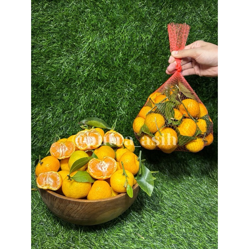 

Jeruk Santang Daun 1kg