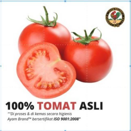 

Ayam Brand - Tomat Puree Kaleng 4 pcs 430gr