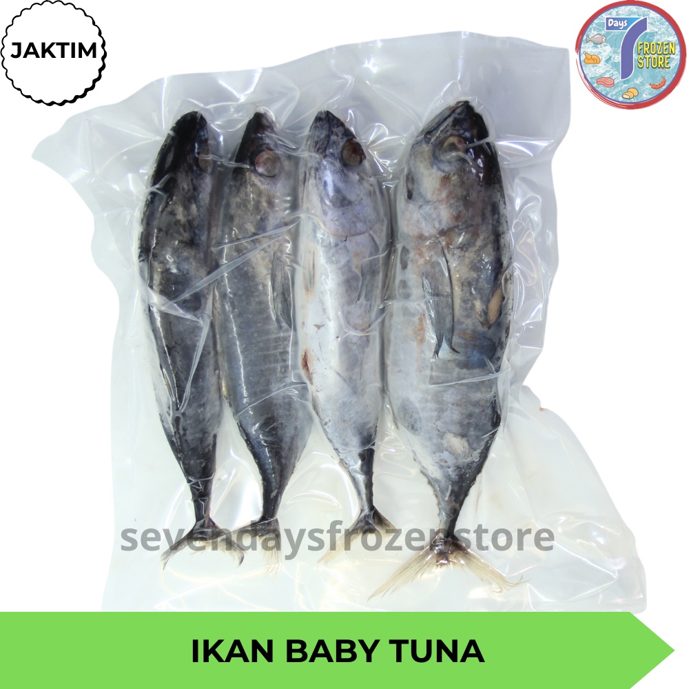 

Ikan Baby Tuna Beku Kapal Frozen 1 kg