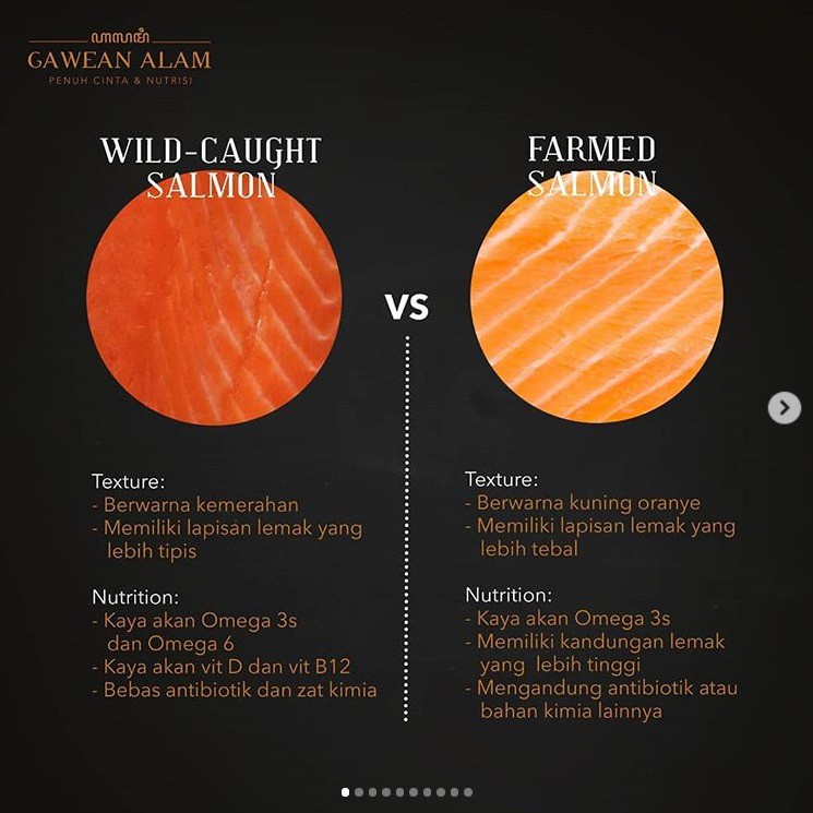 

Wild Caught Alaskan SOCKEYE SALMON - Ikan Salmon Sockeye (200 gram)