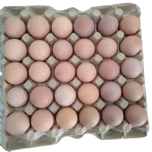 

Telur Negeri Kulit Putih / Cream per KG