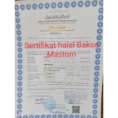 

Bakso Urat Premium Homemade 20 pcs