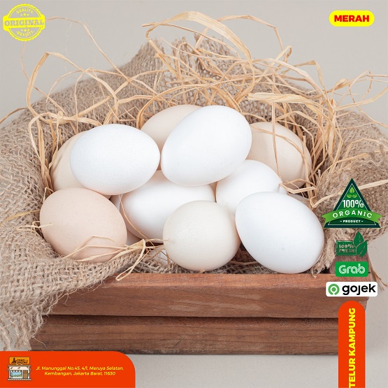 

Telur Ayam Kampung Merah 15 butir