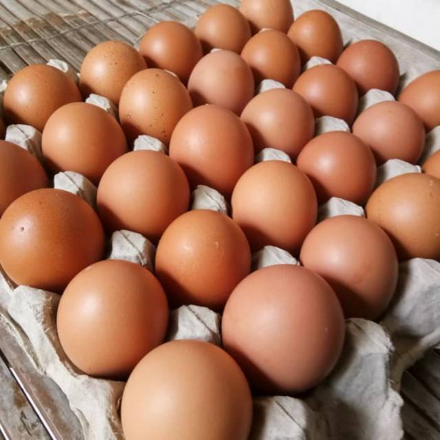 

Telur Negri Lokal Fresh GRADE A 1 tray isi 30 butir
