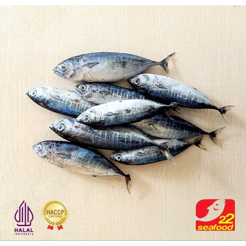 

Ikan Baby Tuna 1 kg / Baby Tuna Beku Kapal / Seafood 22