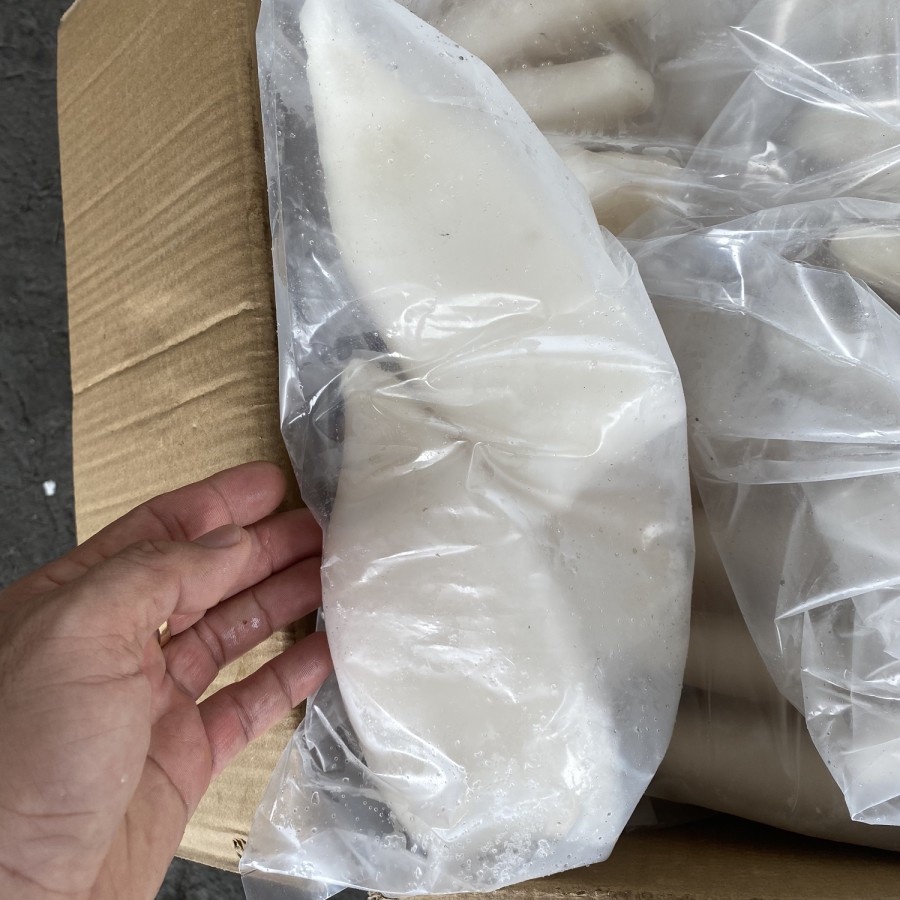 

Cumi tube kupas bersih segar / putih isi 4 kemasan 1 kg