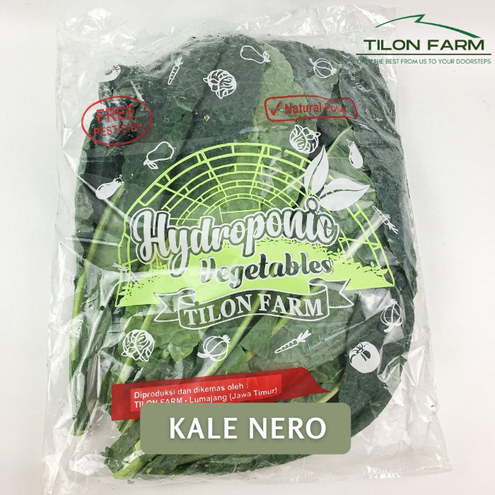 

(Good) kale nero sayuran kale segar hijau kale dinosaurus tilon farm fresh