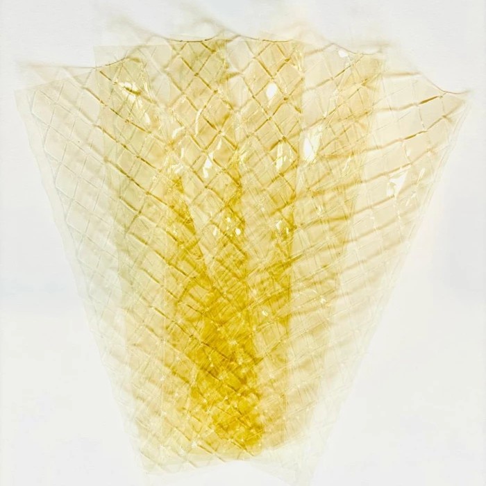 

GELATIN LEMBAR 1 KG ISI 300 LEMBAR / GELATIN SHEETS 1 KG 300 SHEETS