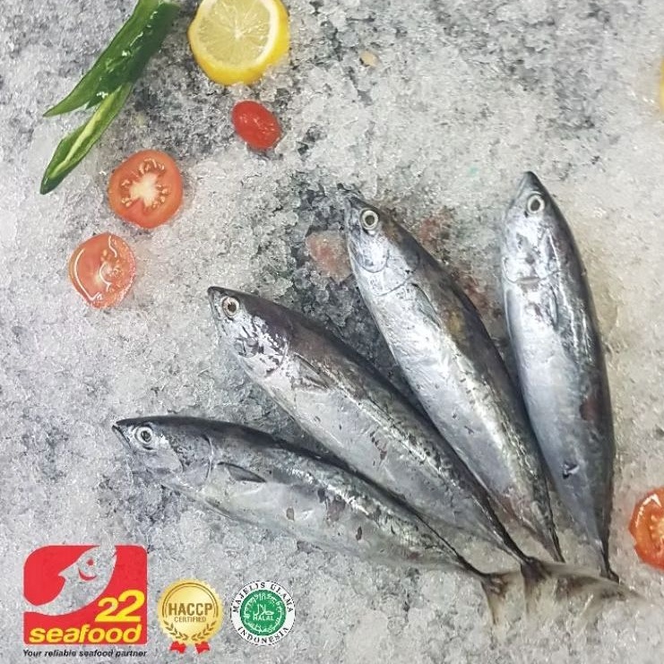 Ikan Tongkol Deho / Tongkol Lisong / Seafood 22
