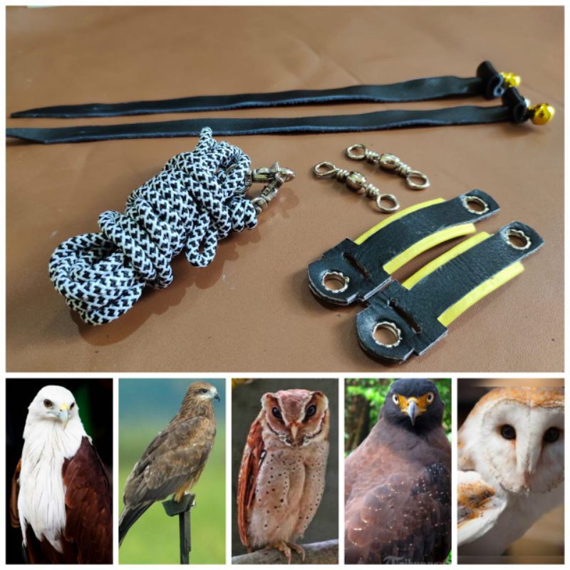 Ready angklet motif elang/burung hantu tyto alba/bondol/obay/black kite/bido/obay