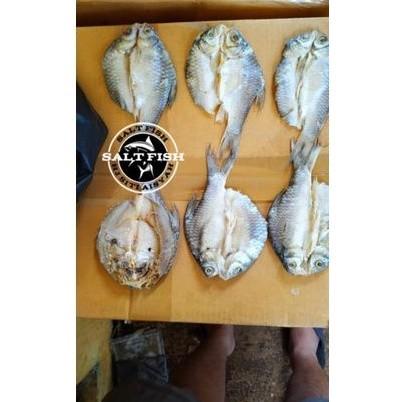 

Ikan Asin Tawes Belah 1Kg Gram Rasa Gurih, Tekstur Kenyal, Ideal untuk Masakan Tradisional