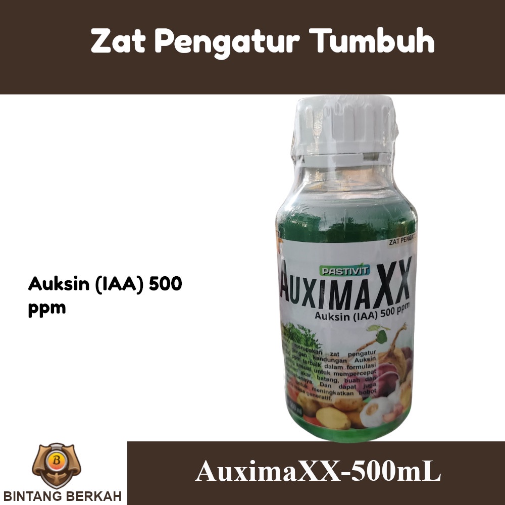 Hormon Auksin Murni 1000 ppm Perangsang Akar AuximaXX 1 Liter