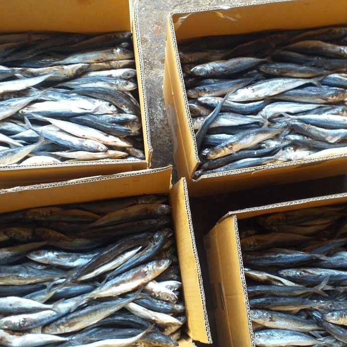 

(Good) Ikan asin layang 1kg ikan asin klotok