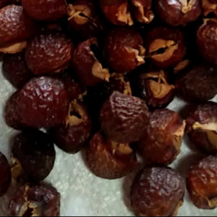 

(Good) Biji Lerak Kupas Tanpa Biji 1 kg Buah Unggul Organik Tanpa Kimia Pure