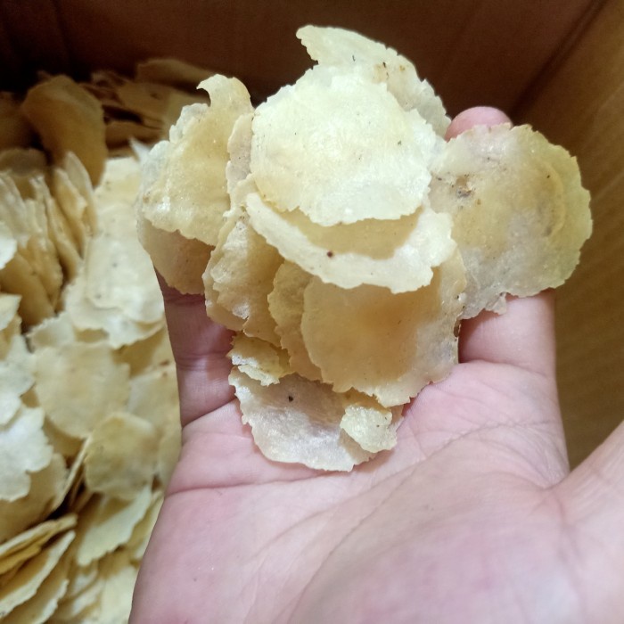 

Emping Ceplis Melinjo 1 Kg Kilo Kulon Banten Tipis Mekar Terbaik