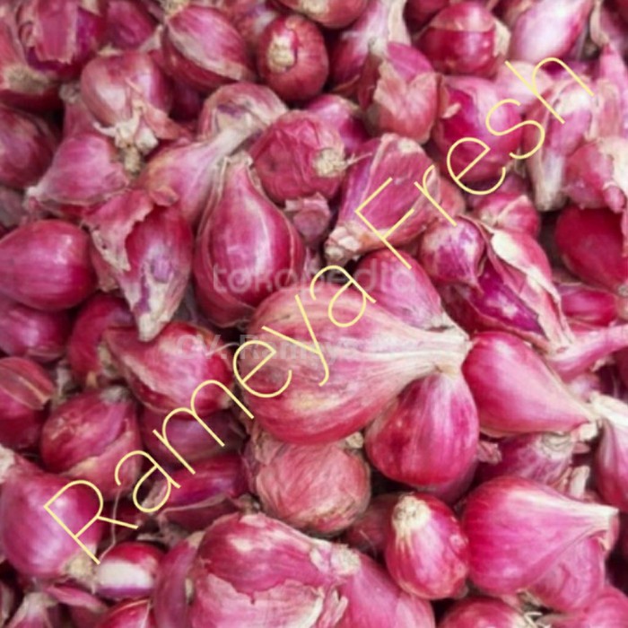 

Bawang Merah Brebes Curah 500 gr