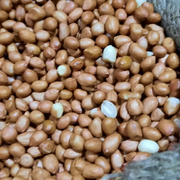 

kacang tanah 1kg