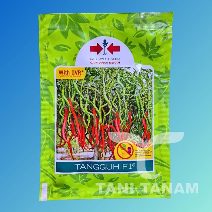 BENIH CABAI KERITING TANGGUH F1 CAP PANAH MERAH