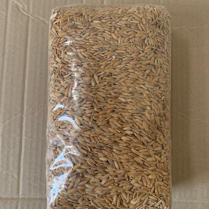 Benih padi beras merah padi sawah unggul 1kg