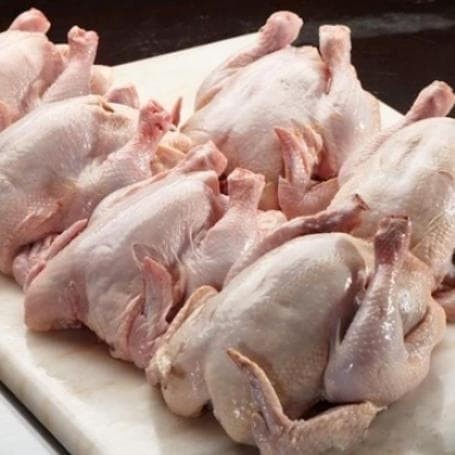 

(BestSeller) Ayam Potong 500gr / Ayam segar