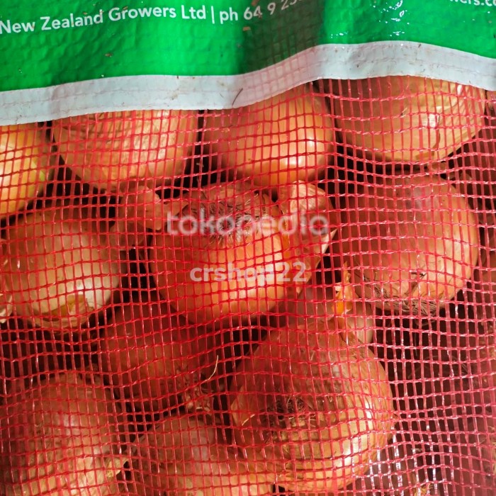 

jual bawang Bombay besar 10 kg