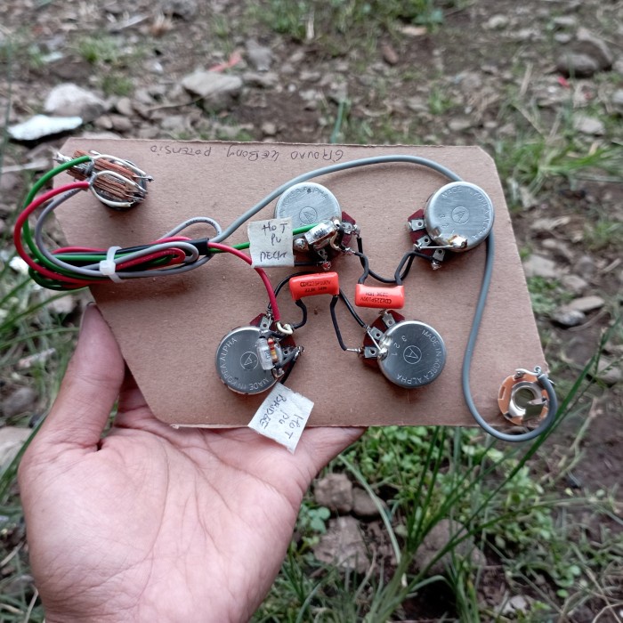 Wiring Gitar Les Paul 50s Gibson Epiphone Prewiring Plus Treble Bleed