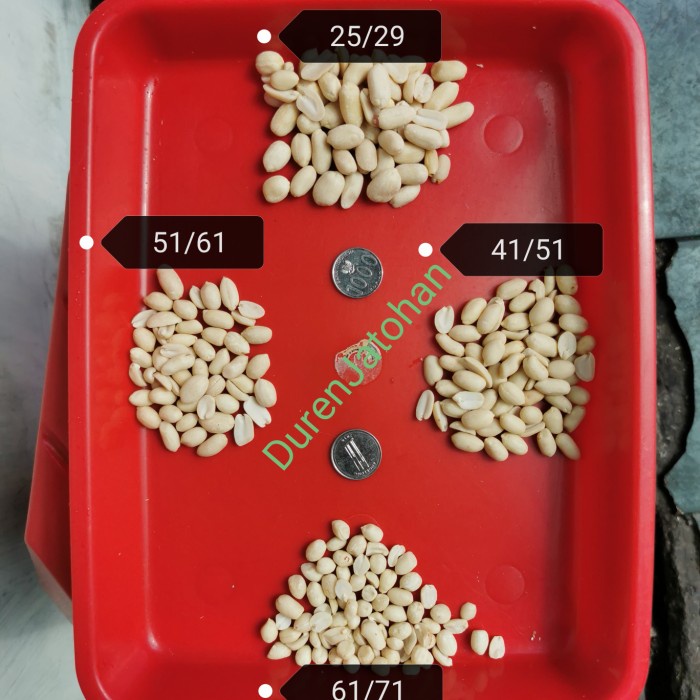 

Kacang Tanah Kupas Mentah Berat 1Kg / 1000Gr Produk Unggulan
