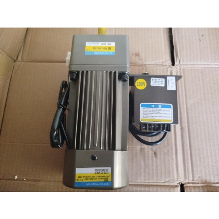 AC motor gearbox 220V 250W Variable Speed Control 1 Phase