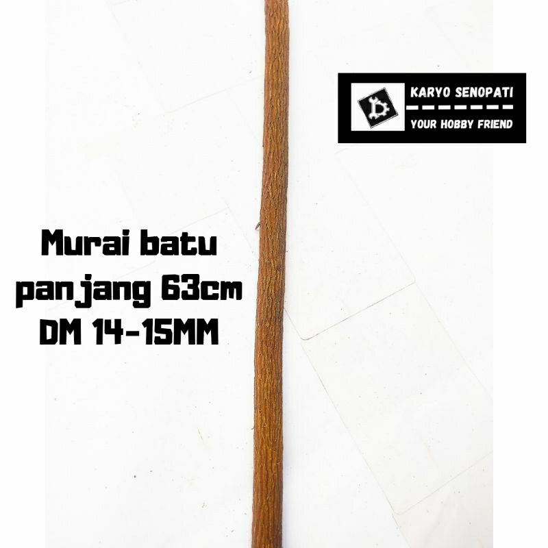 NEW asem jawa super great A++ murai batu,kacer,cendet,kenari,cak ijo tangkringan sangkar burung