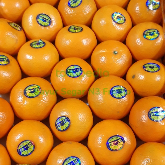 TERBAIK Buah Jeruk Mandarin Wokan Manis 1 Keranjang Harga Lebih Hemat dr Ecer