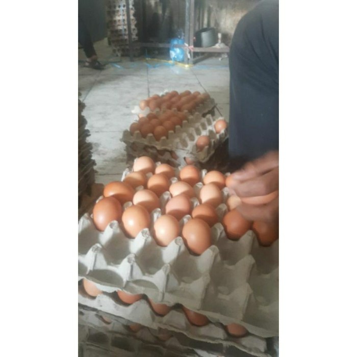 

(BestSeller) TELUR AYAM NEGERi Fresh 2kg isi 32 butir.. kirim