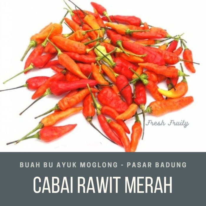 

Terbaru!! Cabai Rawit Kecil Merah Packing Aman