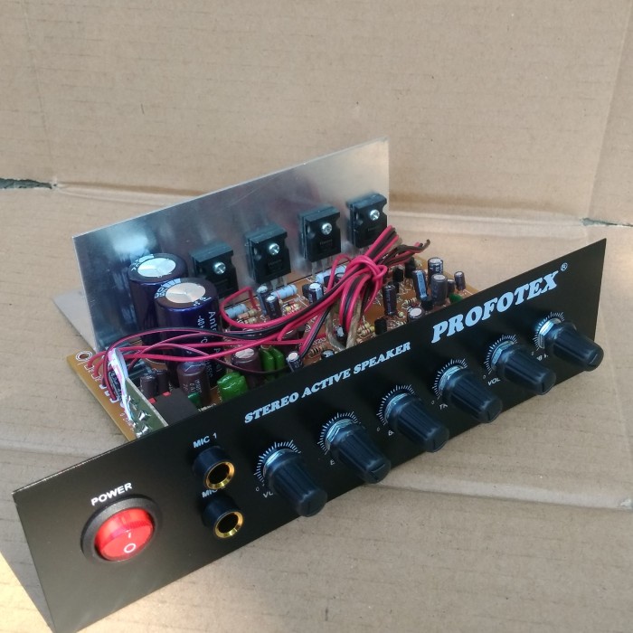 PREMIUM kit Ampli speaker aktif Profotex stereo Subwofer Karaoke mic echo