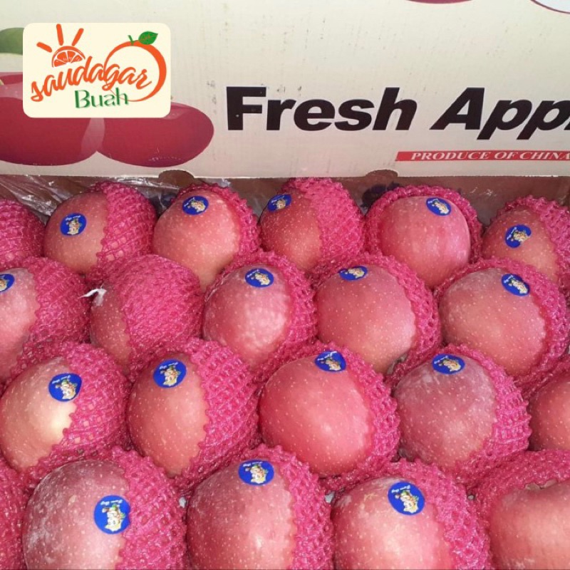 

BUAH APEL FUJI RRC MANIS UNTUK JUS 1KG WE!