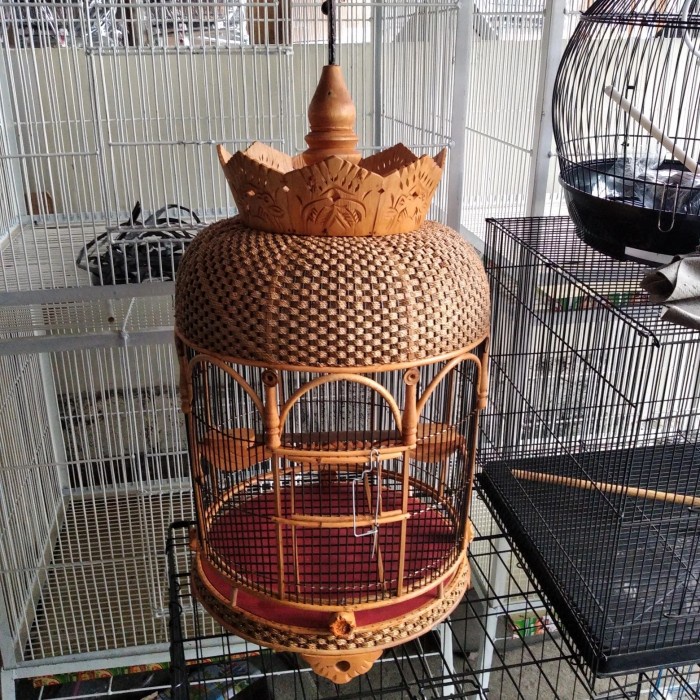 PREMIUM kandang perkutut rotan anyaman/sangkar perkutut rotan/kandang burung