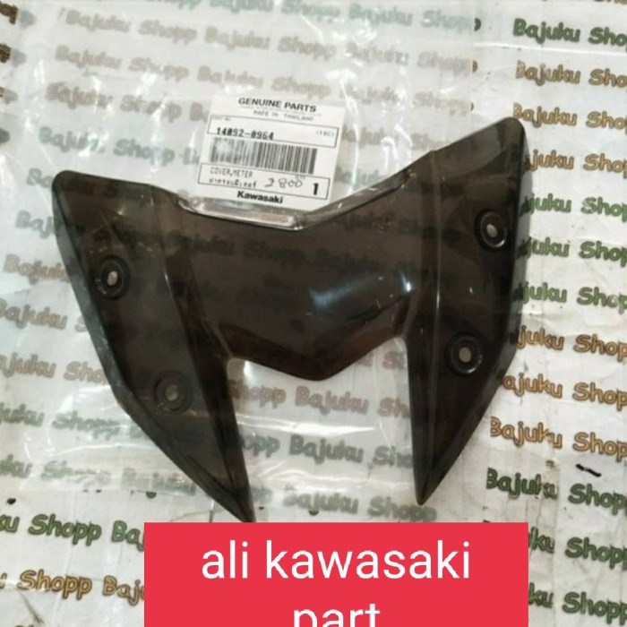 PREMIUM winsil/winshield/visor z800 z 800 original