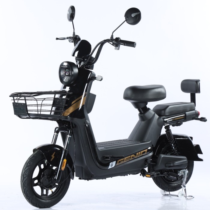 Best seller Sepeda Listrik Genio EASTON X2 Electric Bike Terlaris