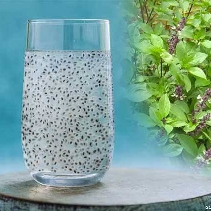 

Biji Selasih 500gram / Basil Seed