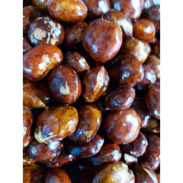 

A Jengkol Tua Pilihan Fresh 1Kg