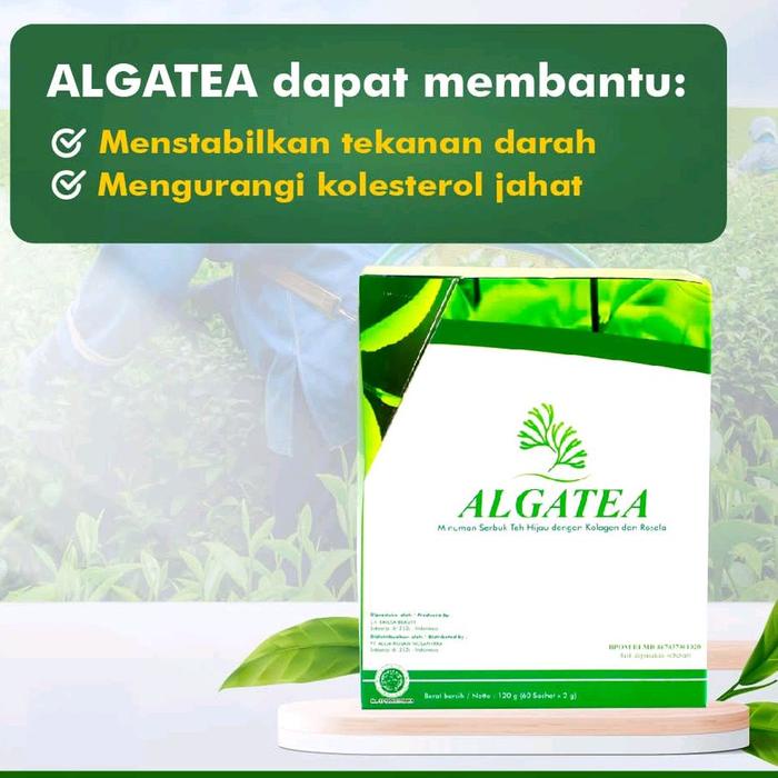 

Alga tea Karnus teh hijau antioksidan tinggi Green tea - Konsep Karnus 60 sachet/ boks